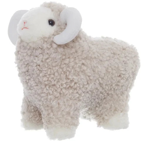 Curly Ulle Lammas