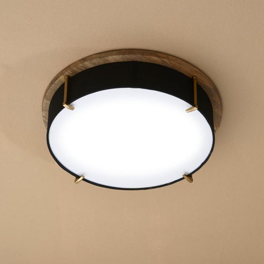 Springfield Plafonnière Kattovalaisin