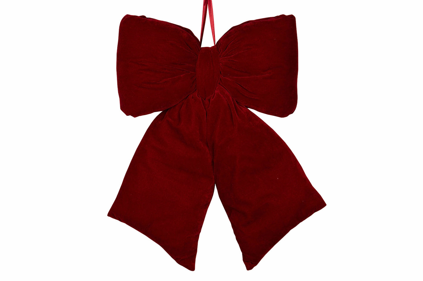 Samettirusetti Jätti