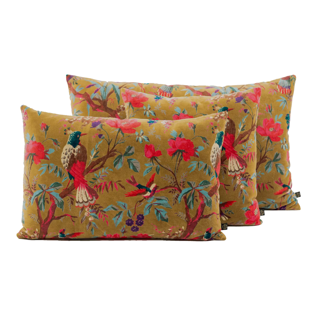 Haomy Birdy Tyyny 40x60
